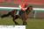 福島牝馬ステークス(4歳上・牝・GIII・芝1800m)　4月20日（土曜） 1回福島5日