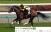 ラジオNIKKEI賞(3歳・GIII・芝1800m)　6月29日（日曜） 2回福島2日