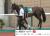 オールカマー(3歳上・GII・芝2200m)   9月21日（日曜） 4回中山7日