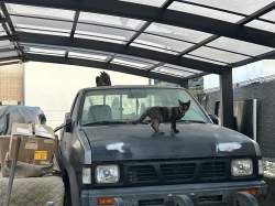 595855 B