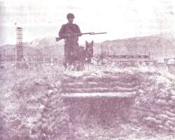 189291 B