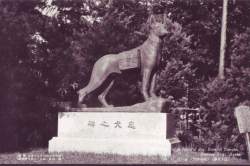 179884 B