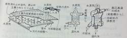 475231 B