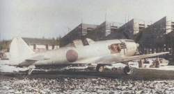 49409 B
