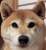 さあ、行こう