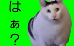 31199 B