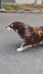 4657763 B