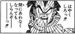 16263 B
