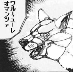 24778 B