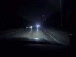 1193366 B