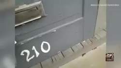 1499291 B