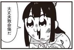 10833 B
