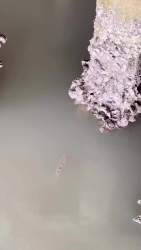 2521756 B