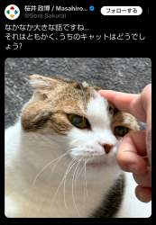 1158517 B