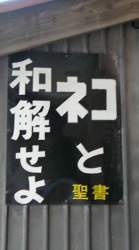 55082 B