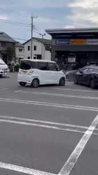 3080099 B