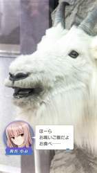 3457335 B