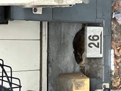 1463462 B