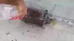 1085361 B