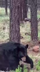 2474990 B