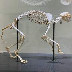 30004 B