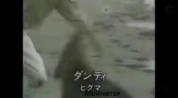795896 B