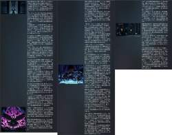 3776904 B