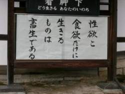 245957 B