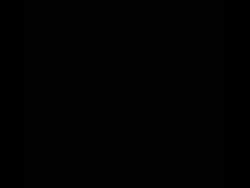 2548804 B