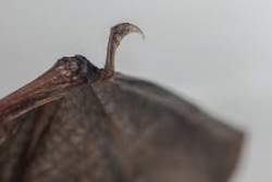 3679 B
