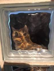 137416 B