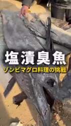 5015931 B