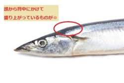 5704 B