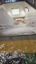 4062064 B