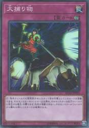 40594 B
