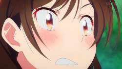 426593 B
