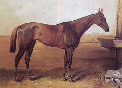 107464 B