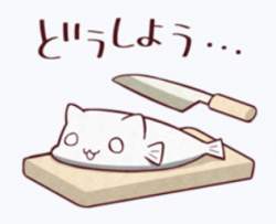 49669 B