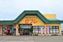 50575 B