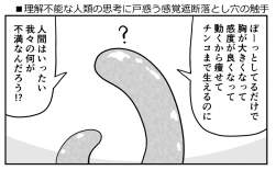 76843 B