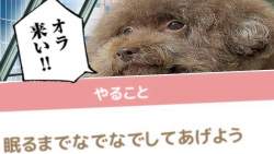 2377697 B