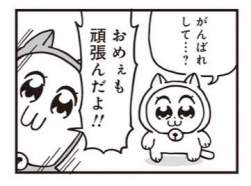 16013 B