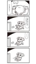 43403 B