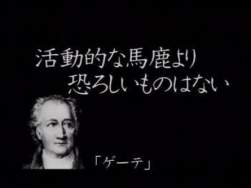 12895 B