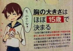 55978 B