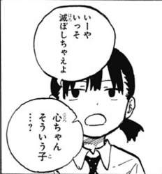 48554 B