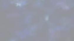 1825981 B
