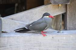 992357 B