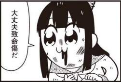 50212 B