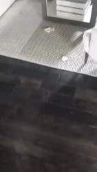3401283 B